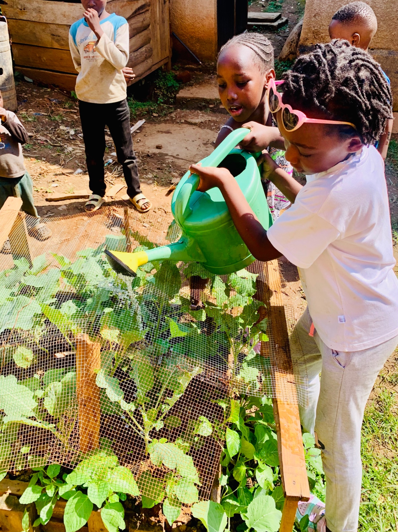 CLASI Kids Club members tending their kitchen garden in Kisumu